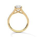 Cushion Cut Diamond Pavé Engagement Ring